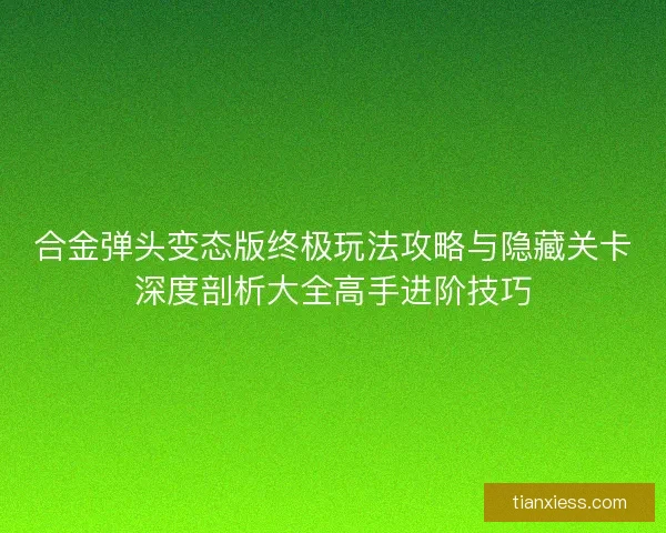 合金弹头变态版终极玩法攻略与隐藏关卡深度剖析大全高手进阶技巧