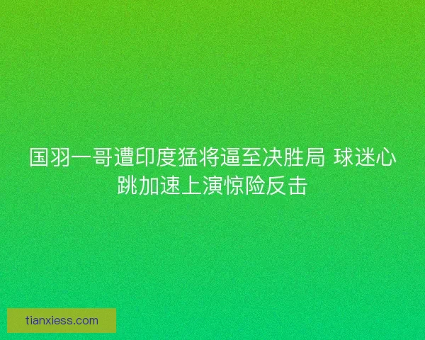 国羽一哥遭印度猛将逼至决胜局 球迷心跳加速上演惊险反击